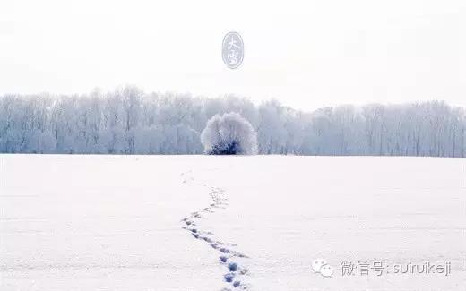 大雪