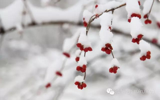 雪