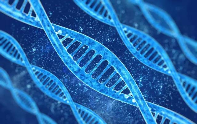 DNA 應(yīng)用商店