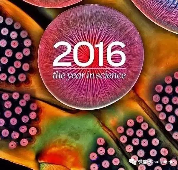 2016