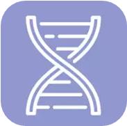 DNA合成與測序