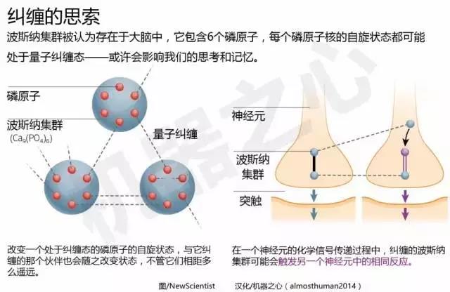 量子糾纏