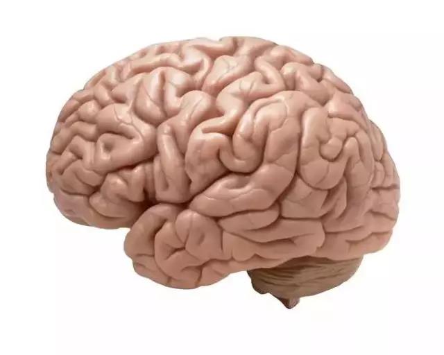 馬斯克腦機融合系統Neuralink