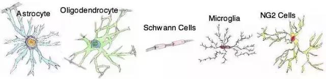 馬斯克腦機融合系統Neuralink